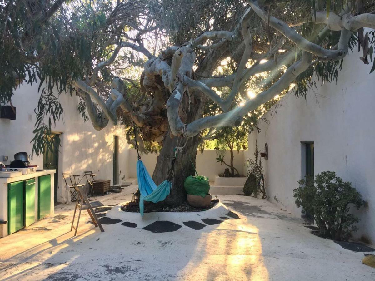Patio II Studio At Finca La Asomada  Extérieur photo